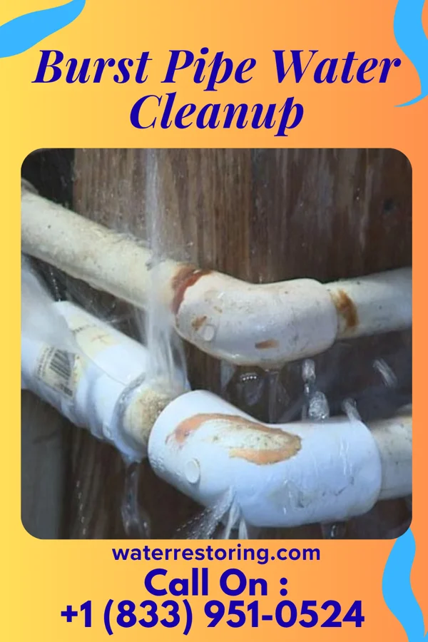 Burst Pipe Water Cleanup in Sheakleyville, PA