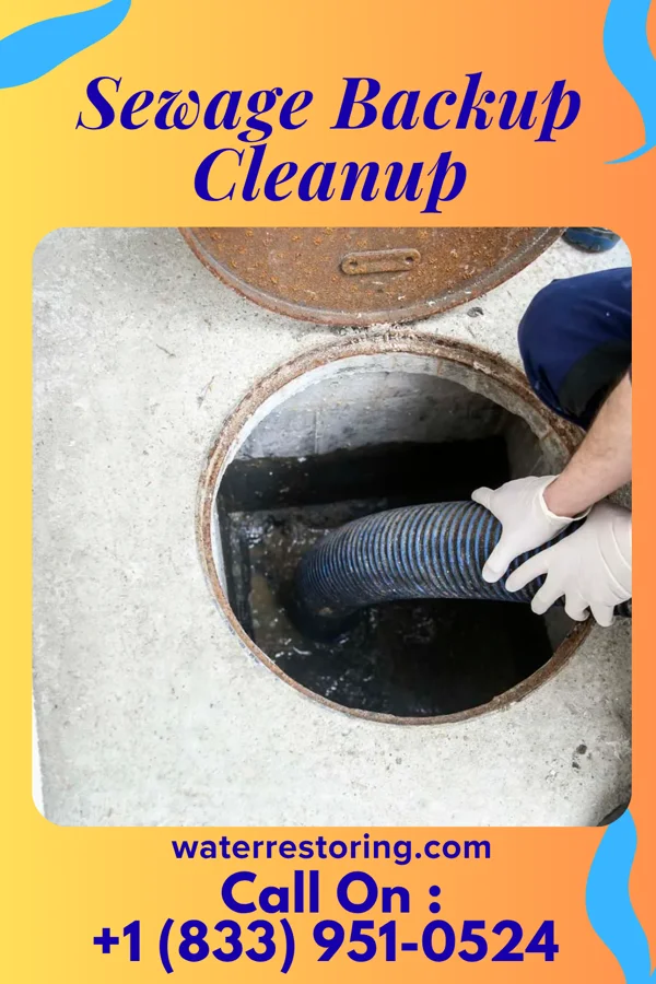 Sewage Backup Cleanup in Sheakleyville, PA