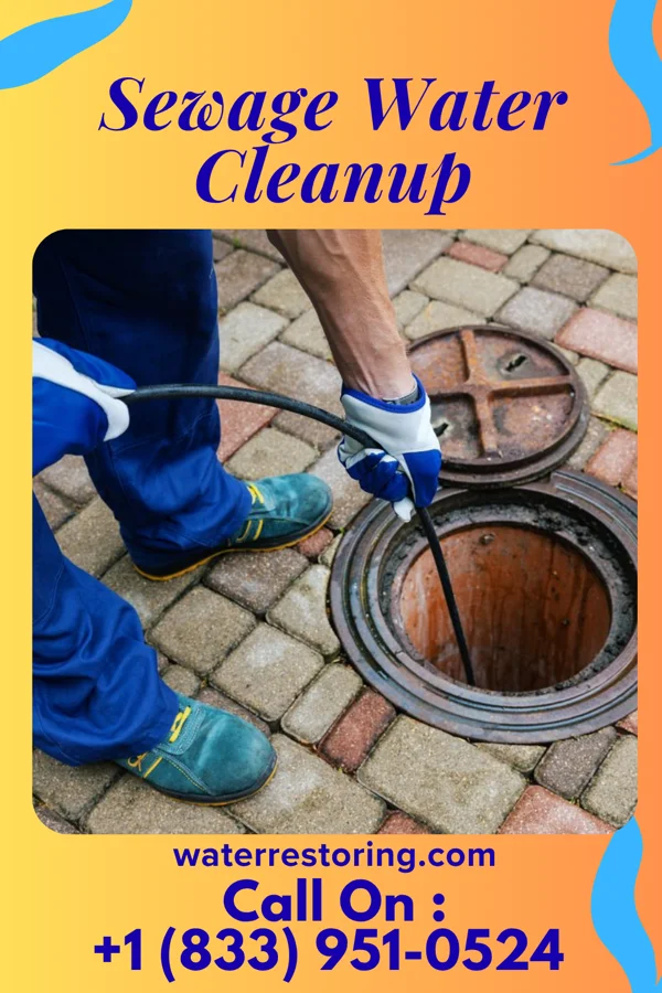 Sewage Water Cleanup in Sheakleyville, PA